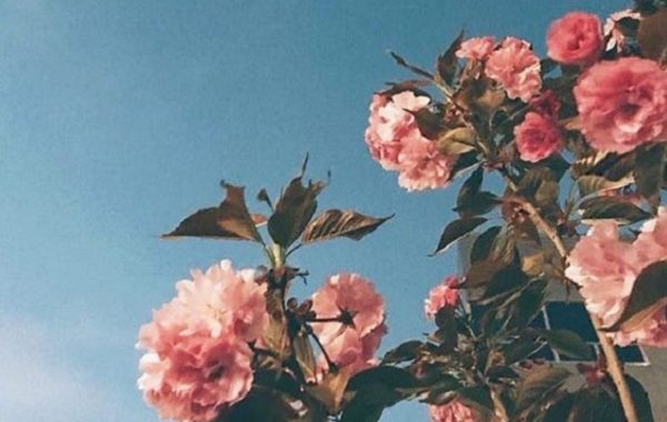 札幌コンシェル|結婚式