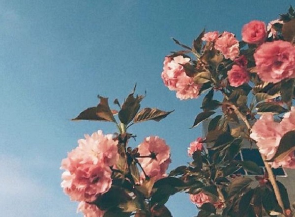 札幌コンシェル｜結婚式