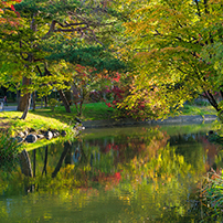 モエレ沼公園・中島公園