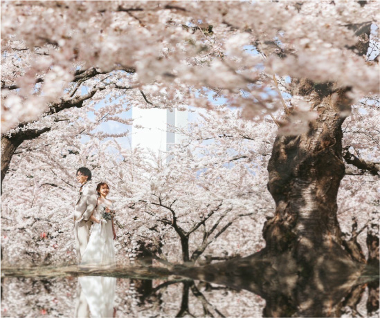 spring