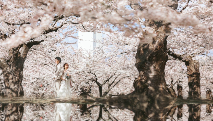 spring