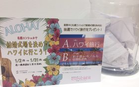 結婚式場を決めてハワイへ行こう当選発表